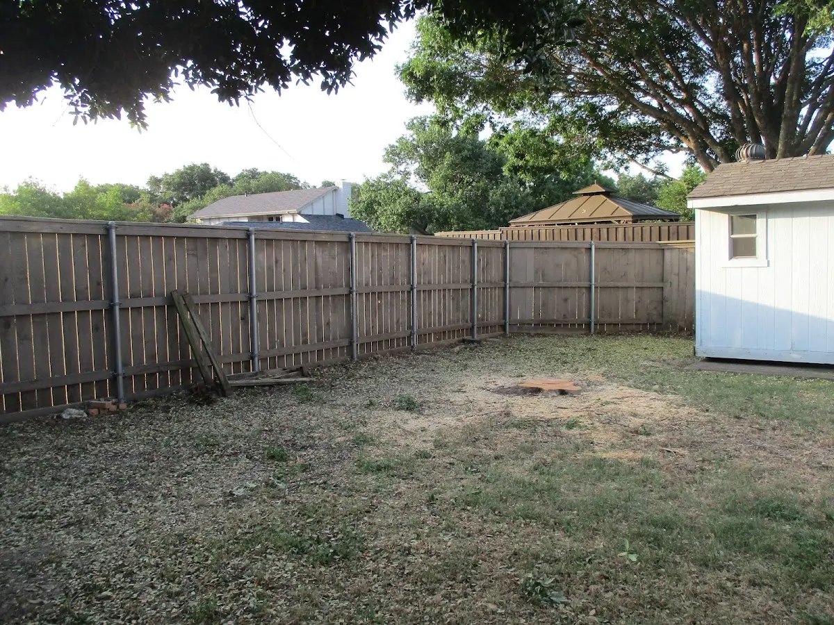 Cleared yard after professional tree removal in Mesa